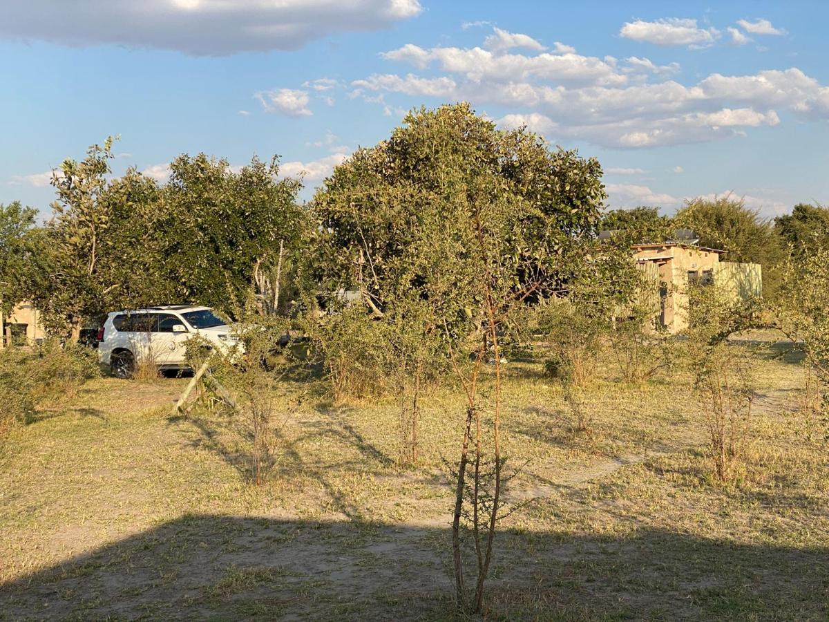 Mababe River Campsite Zewnętrze zdjęcie